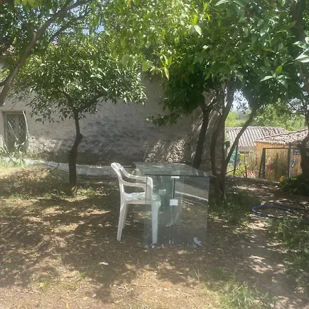 Leonidas スパルティ