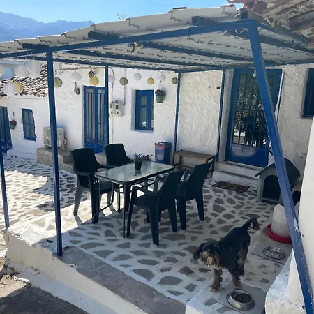 Leonidas * ספארטי