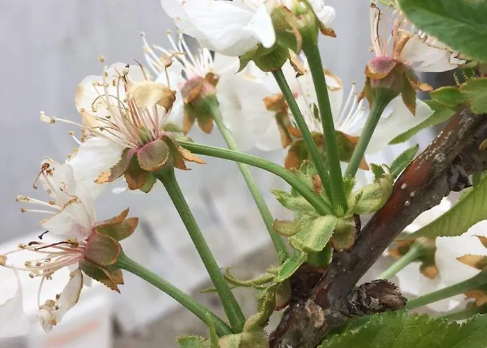 Appartement Leonidas Sparte